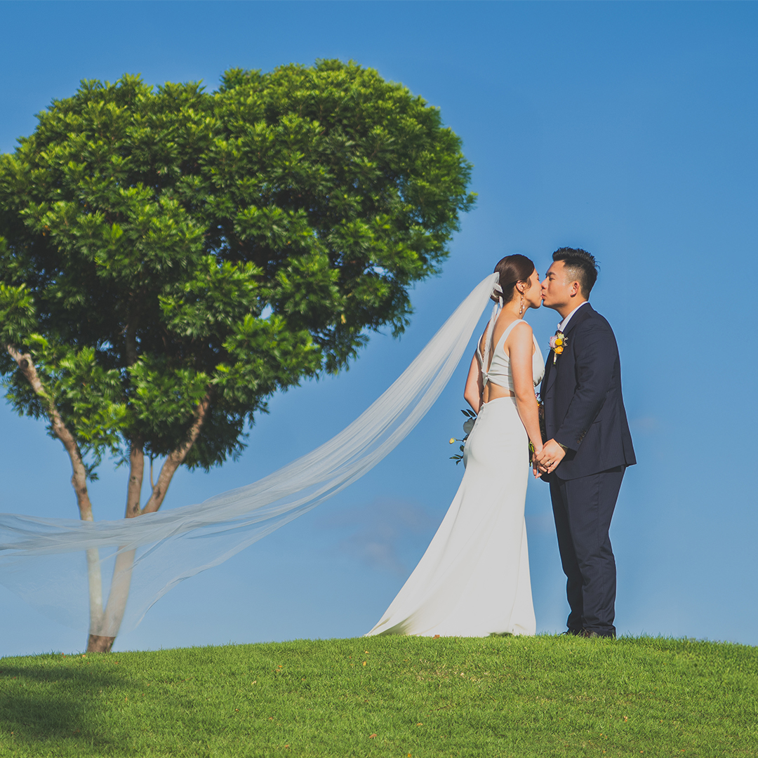 Drinktea Artworks | BOWS JAN 2026